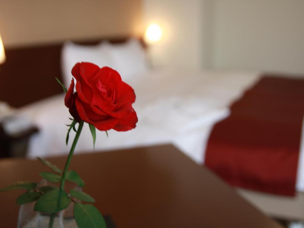 Kurume Hotel Esprit Pokoj fotografie